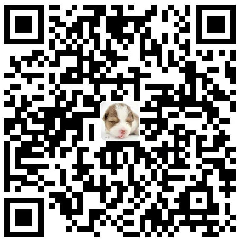 支付宝打赏二维码